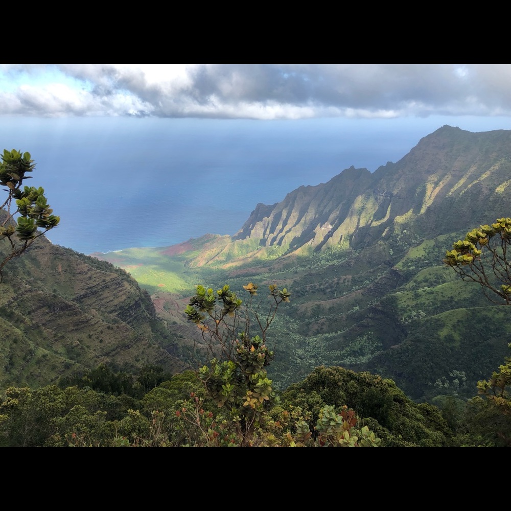 Meet your Posher, Jess